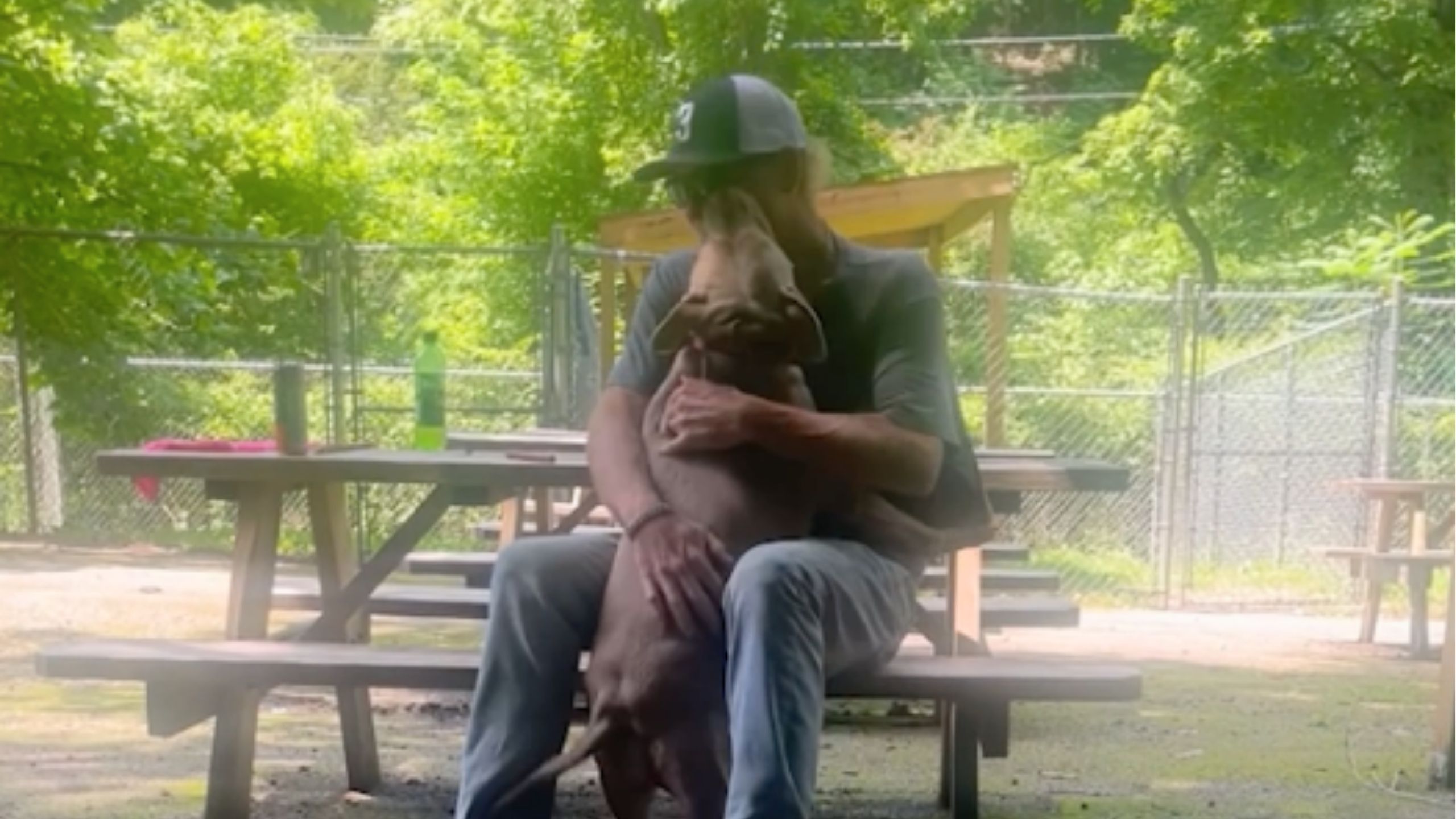 Dog Whose Owner Died In Car Crash Reunited With Family