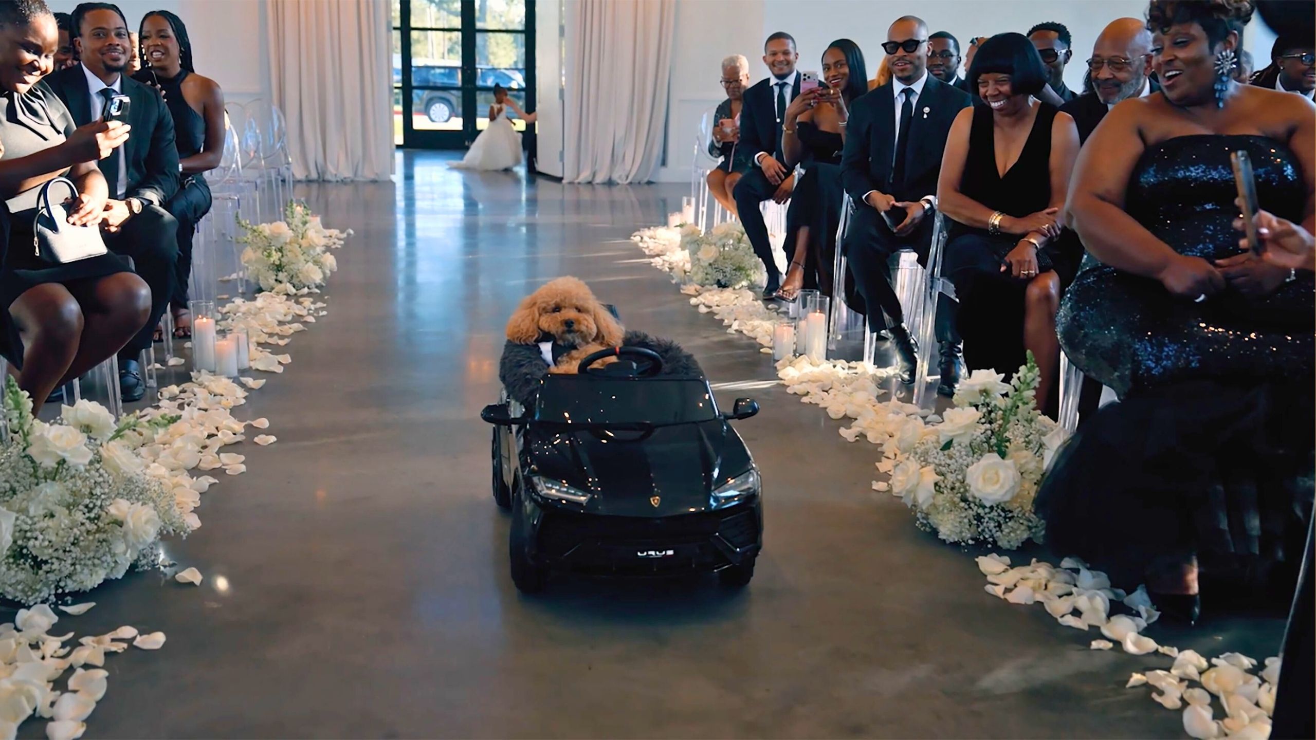 Bride And Groom's Dog Steals The Show When He Comes Down Aisle In Car As Ring Bearer
