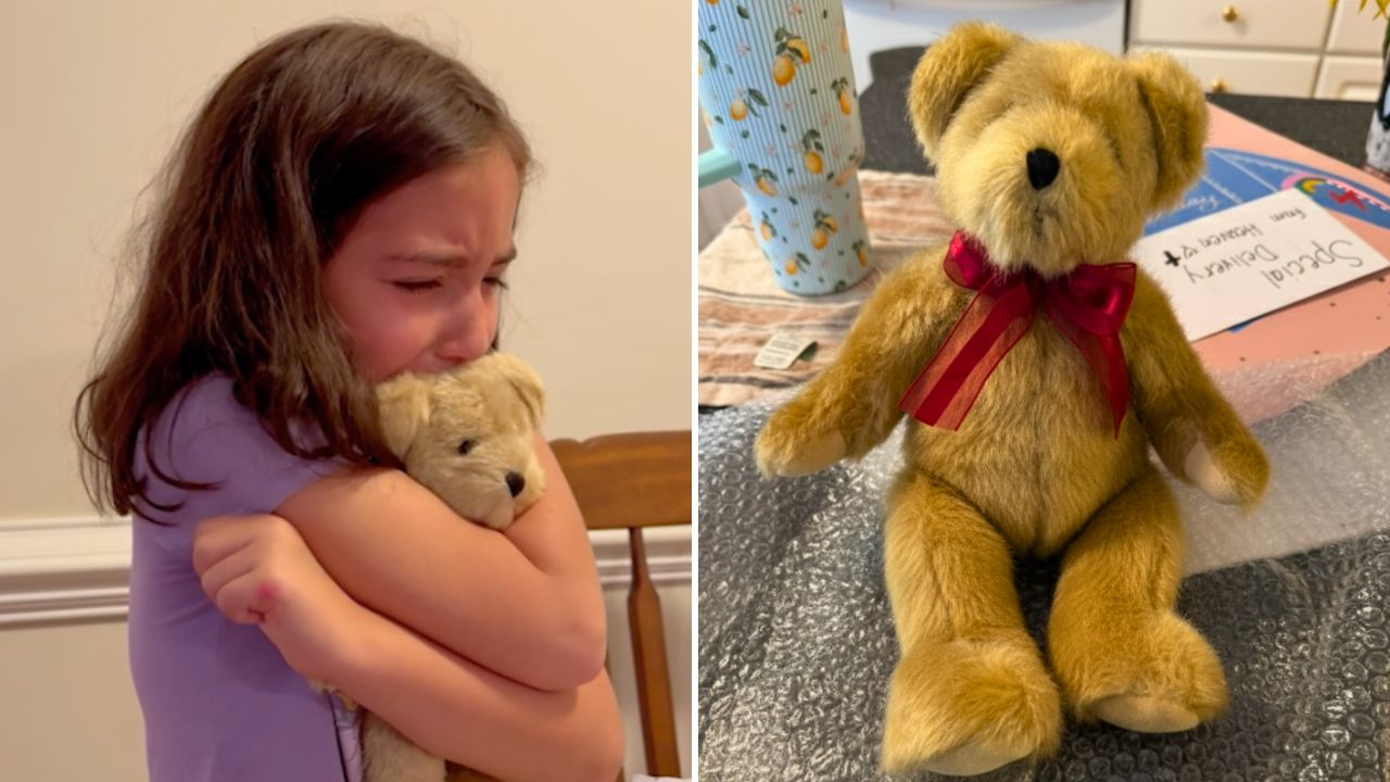 Girl Reunites With Lost Papa Bear Teddy Used To Remember Grandpa