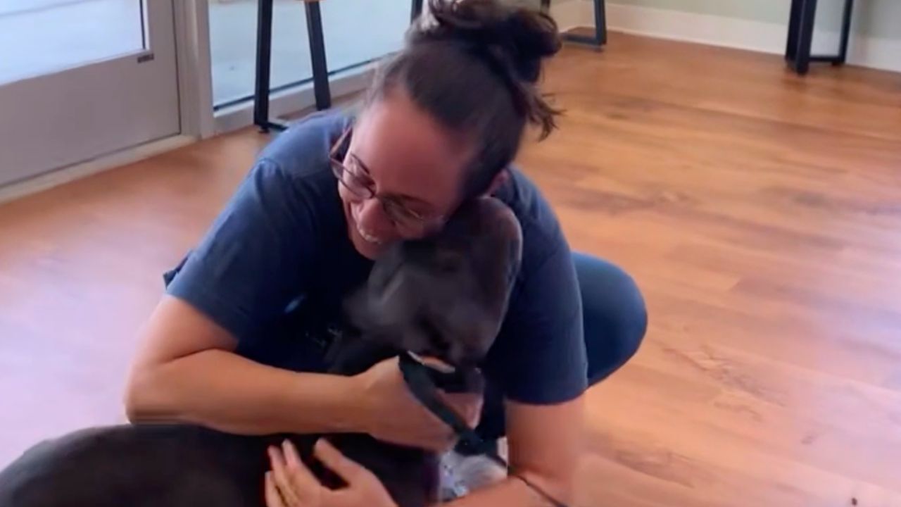 Dog Owner Has Reunion With Beloved Lost Pooch After Two Years Apart