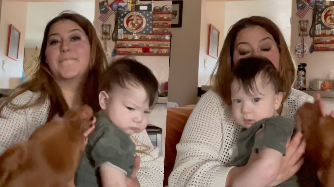 Protective Dog Stops Mom Burping Baby Every Time