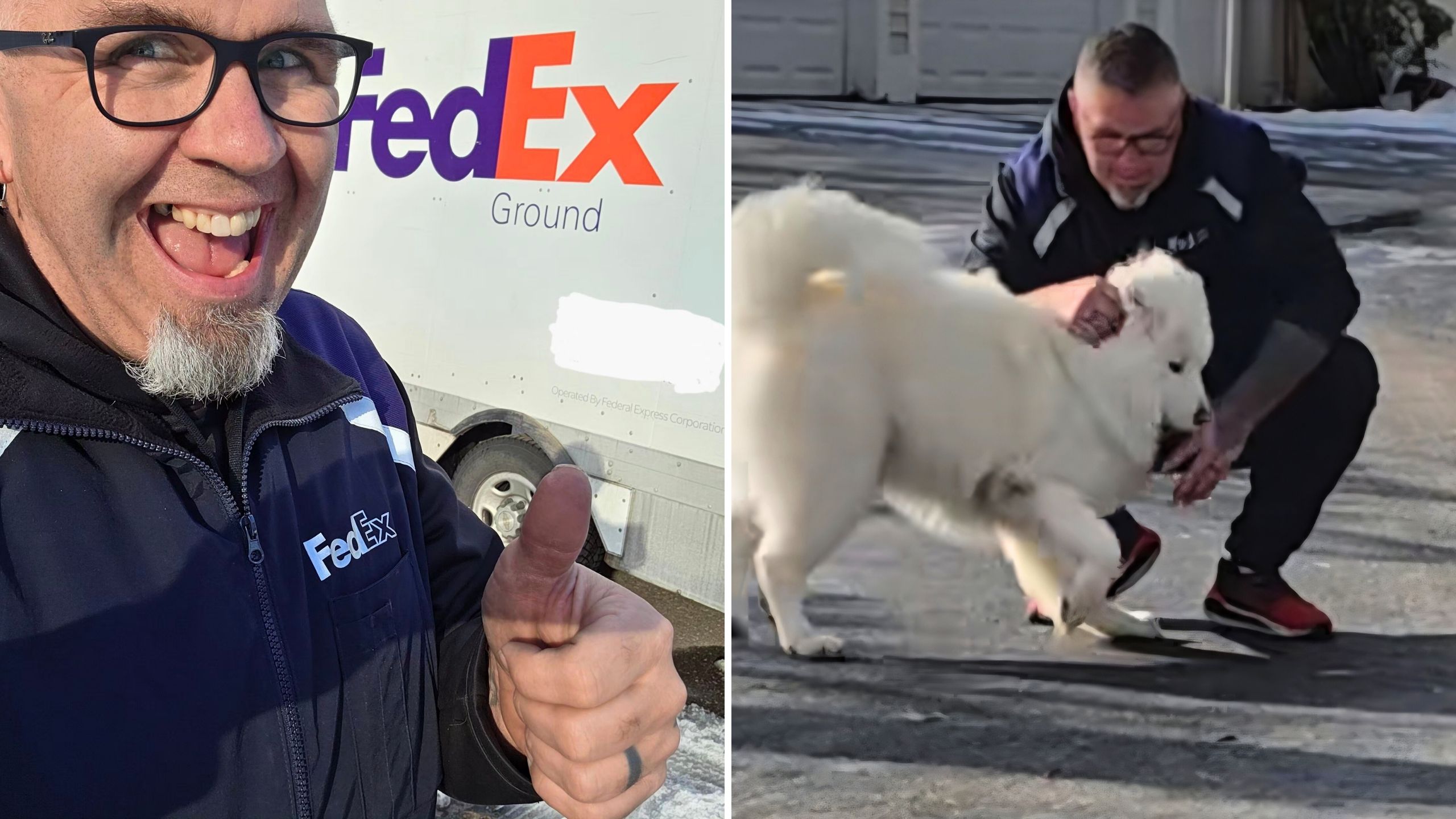 FedEx Driver Builds Wholesome Relationship With Neighborhood Dog