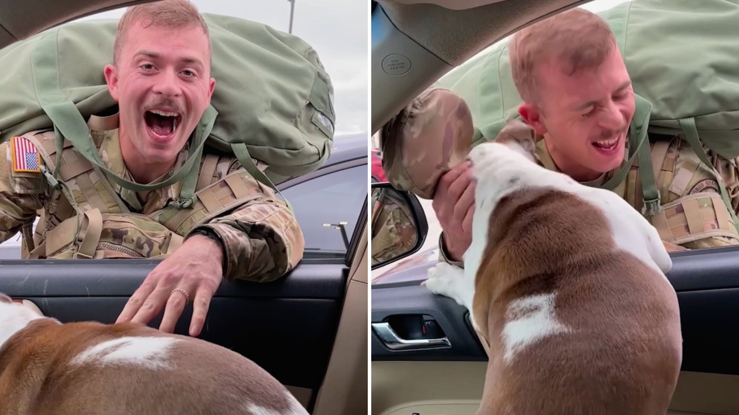 Soldier And Dog Can't Contain Excitement When They're Reunited