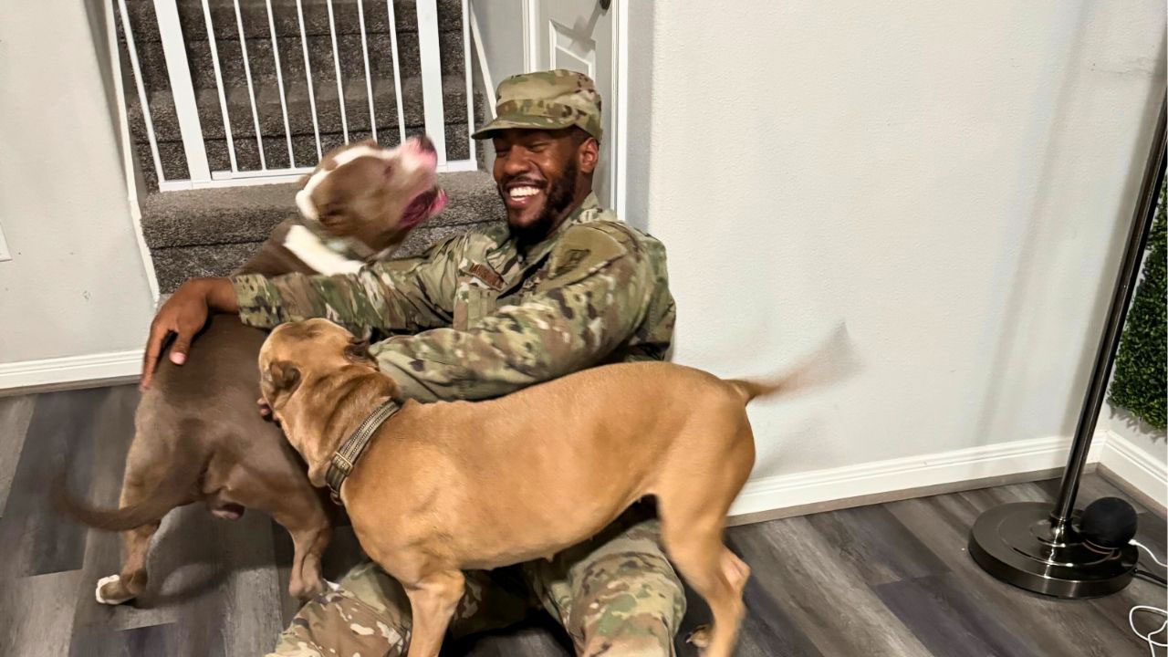 Dogs Can't Contain Excitement When Soldier Dad Returns Home From Seven-Month Deployment