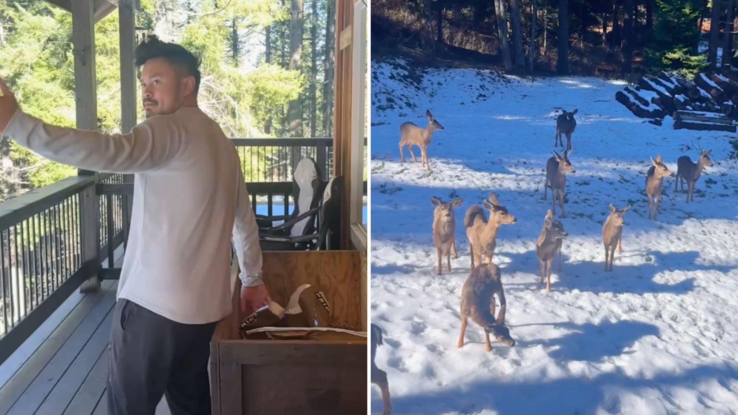 Boyfriend Has Real-Life Snow White Moment When Family Of Deer Come To Him