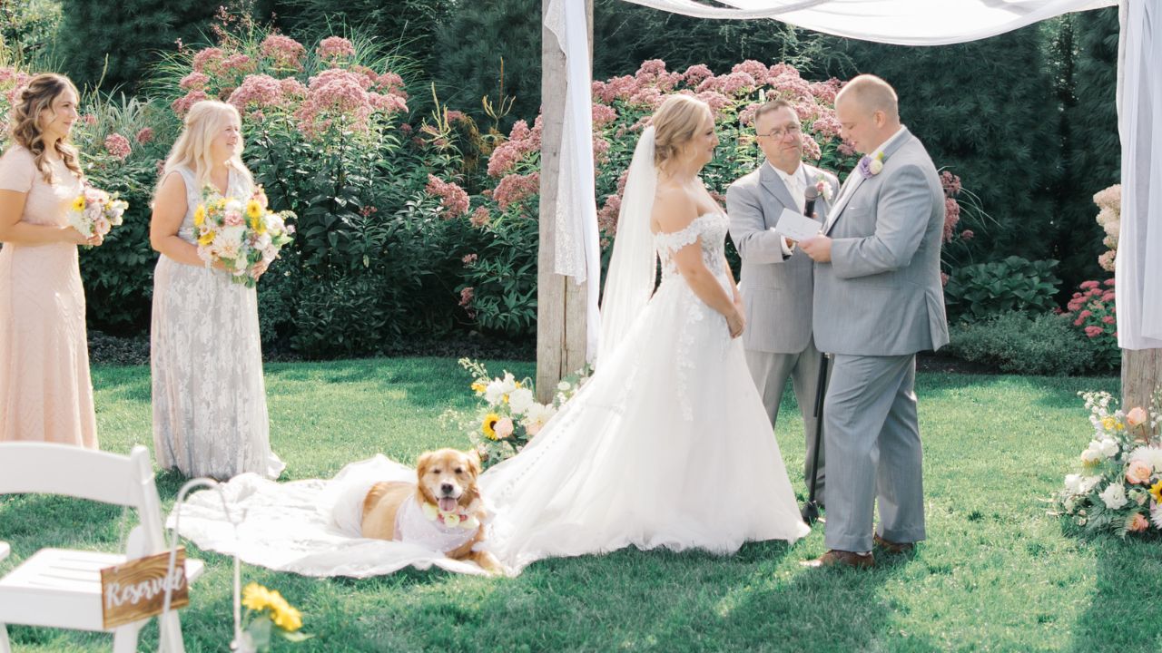 Couple Warm Hearts When They Include Their Terminally-Ill Dog In Wedding Celebrations