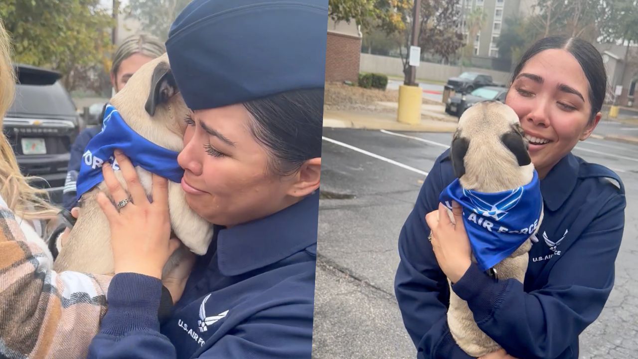 Air Force Graduate Surprise Reunion With Dog After Months Apart