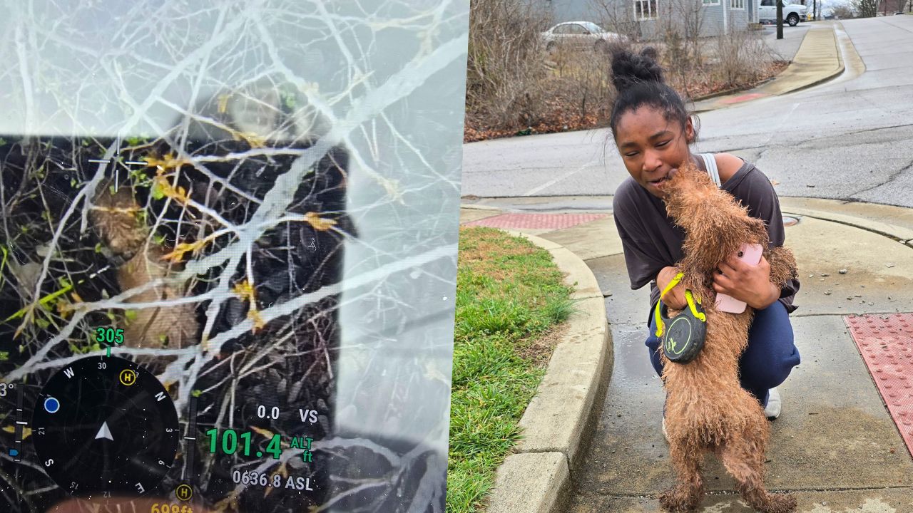 Girl Reunited With Missing Dog After Rescuer Uses Drone To Locate Him