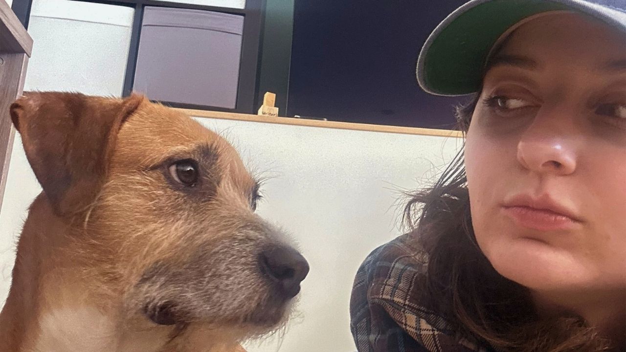 Rescue Dog Adopted From Mexico Reacts To Owner Speaking Spanish