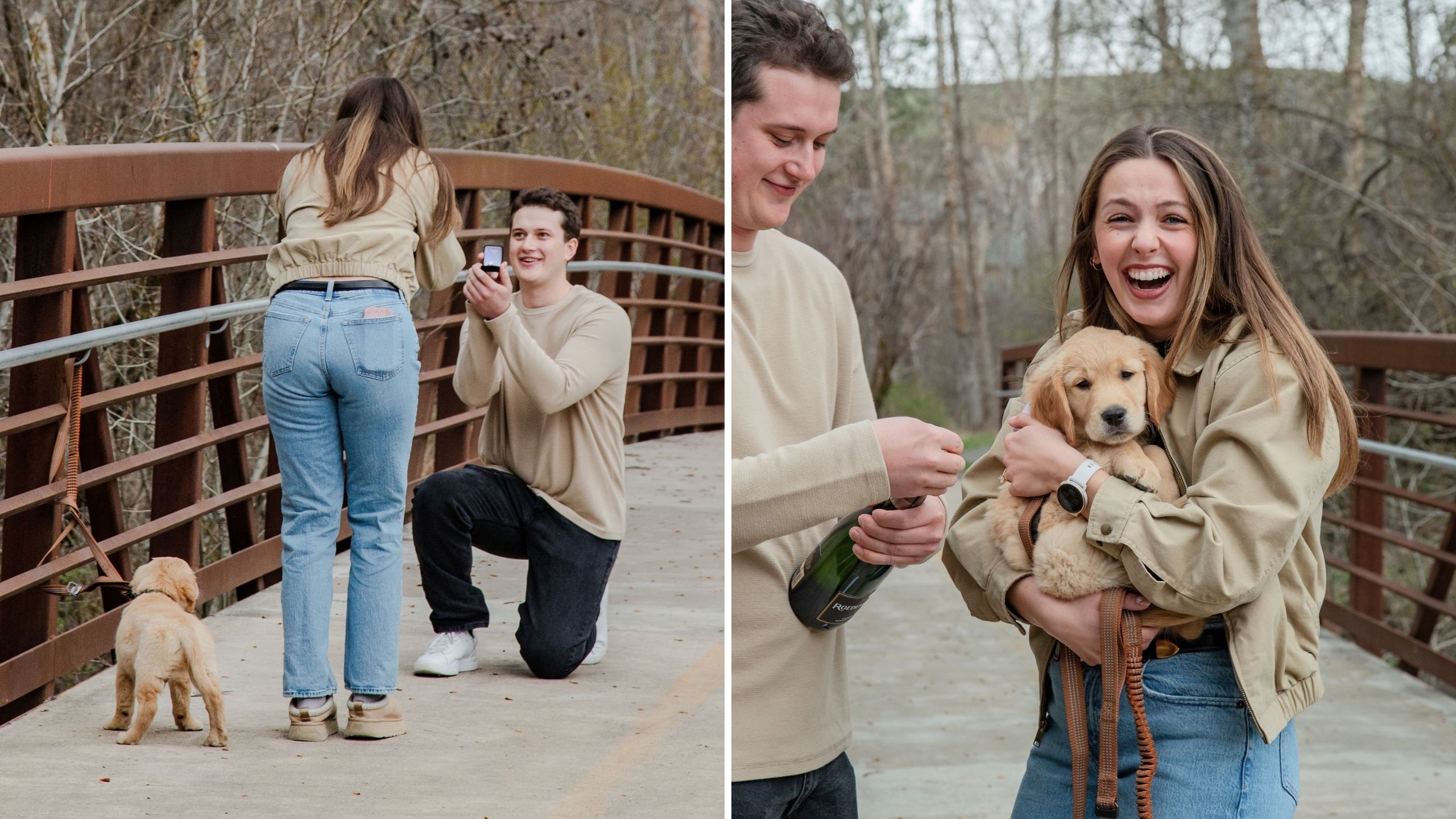 Puppy Surprise Turns Into Surprise Proposal